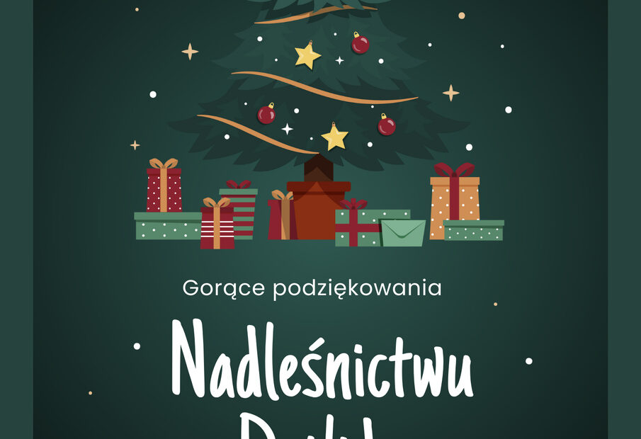 Choinka bożonarodzeniowa z prezentami. Pod spodem tekst: Gorące podziękowania Nadleśnictwu Dojlidy - Zespół Szkół nr 16