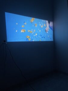 Wyświetlony na ścianie fragment filmu przedstawia kolorowe, podwodne sceny z pływającymi rybkami. Obraz tworzy efekt zanurzenia, a zgaszone otoczenie pozwala skupić się na barwach i ruchu na ekranie.