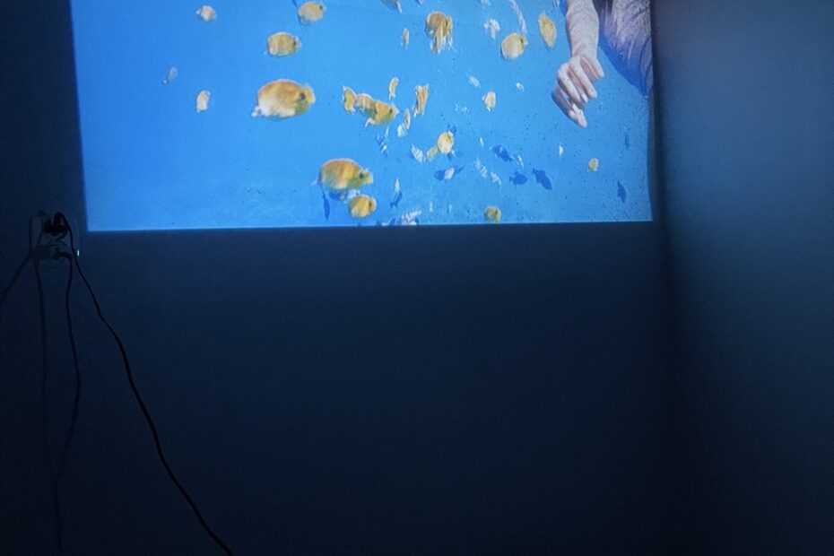 Wyświetlony na ścianie fragment filmu przedstawia kolorowe, podwodne sceny z pływającymi rybkami. Obraz tworzy efekt zanurzenia, a zgaszone otoczenie pozwala skupić się na barwach i ruchu na ekranie.