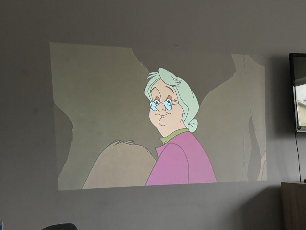 ZDJĘCIE 2
Na jasnej ścianie sali wyświetlony jest z projektora kadr z animowanego filmu – widać starszą kobietę z jasnymi włosami, w różowym płaszczu, na tle stonowanego, rysunkowego krajobrazu.